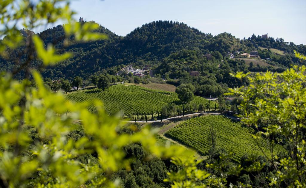 Station touristique Tenuta Saiano Torriana