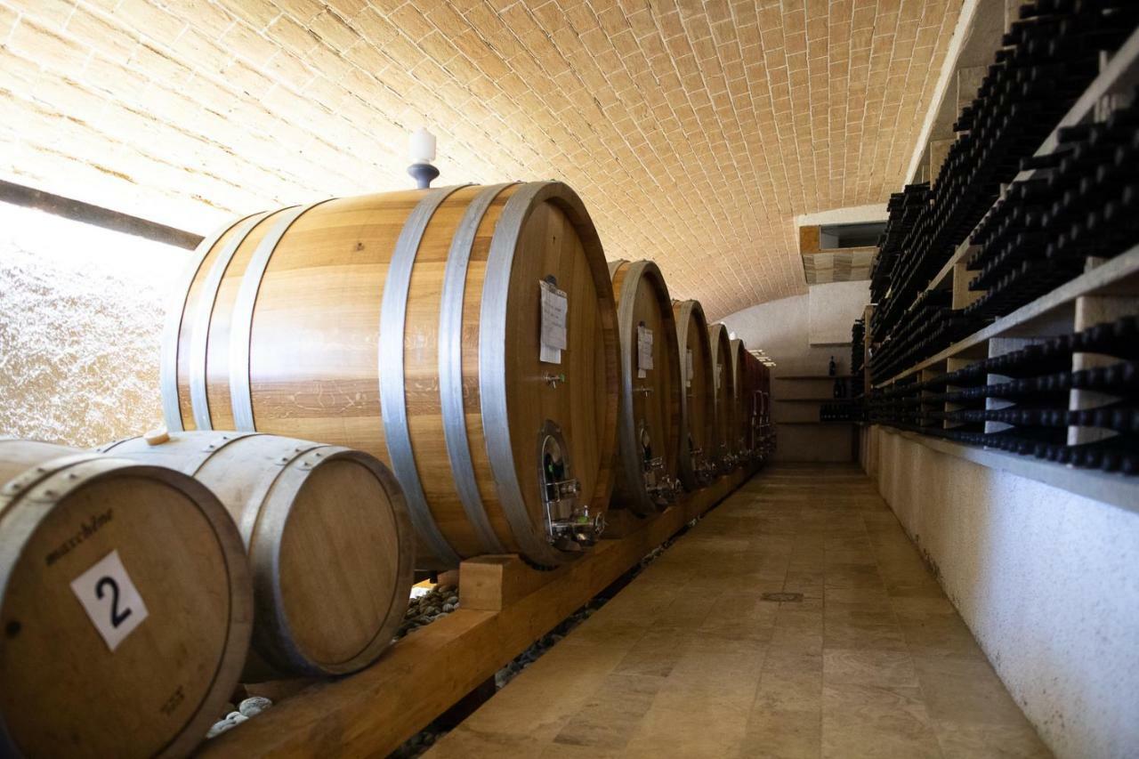 Tenuta Saiano Torriana